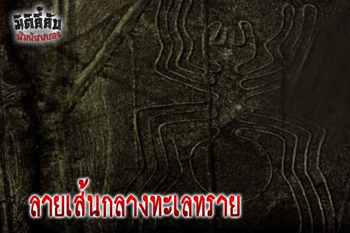 ลายเส้นกลางทะเลทราย