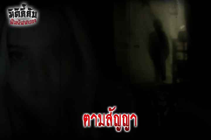 ตามสัญญา