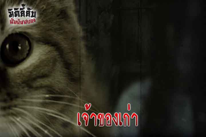 เจ้าของเก่า