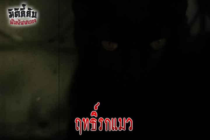 ฤทธิ์รกแมว