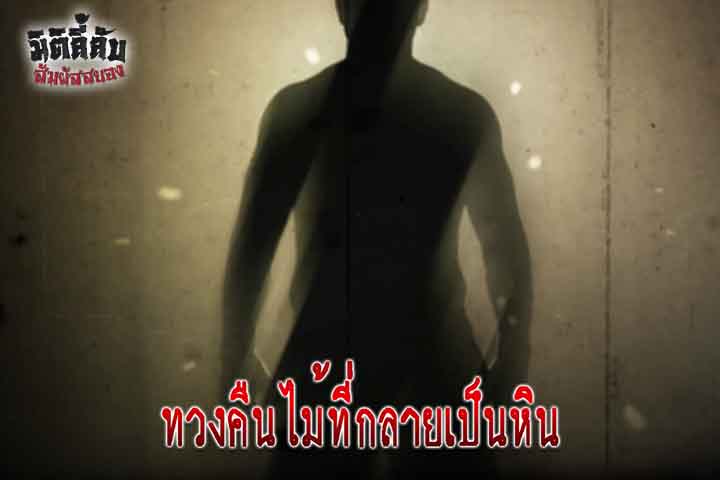 ทวงคืนไม้ที่กลายเป็นหิน