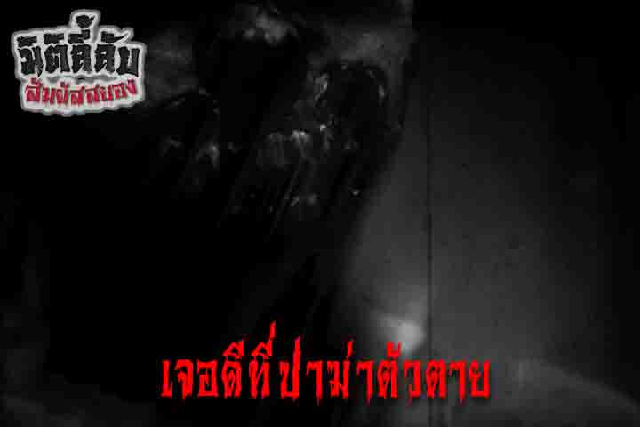 เจอดีที่ป่าฆ่าตัวตาย