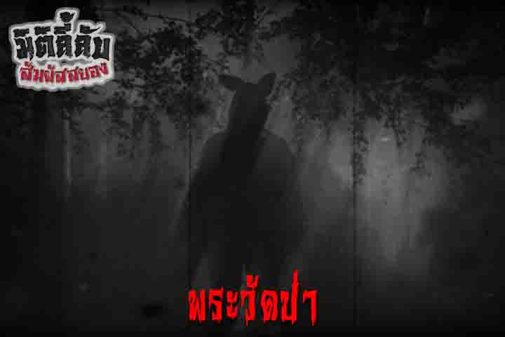 พระวัดป่า