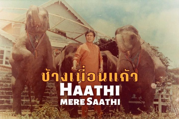 ช้างเพื่อนแก้ว Haathi mere Saathi EP.1
