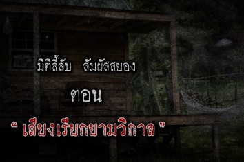 เสียงเรียกยามวิกาล