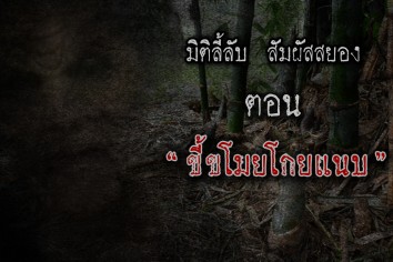 ขี้ขโมยโกยแน่บ