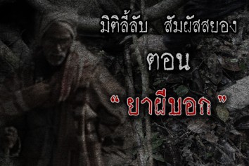 ยาผีบอก