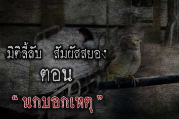 นกบอกเหตุ