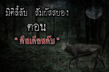 คืนเดือนดับ