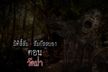 วัดป่า