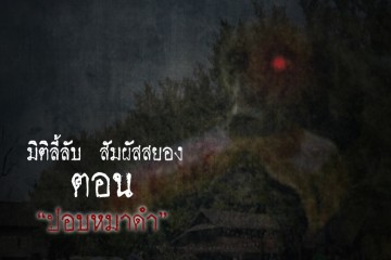 ปอบหมาดำ