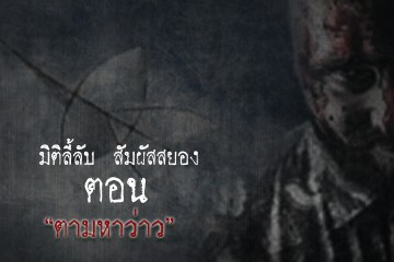 ตามหาว่าว