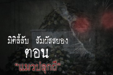 แมวปลุกผี