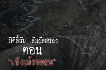 เช็งเม้งหลอน