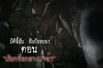 เรียกชื่อกลางป่าช้า