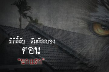 เรื่องนกแสก