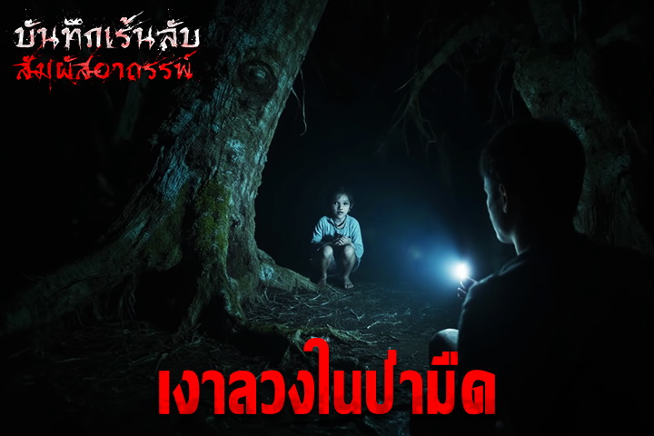 เงาลวงในป่ามืด