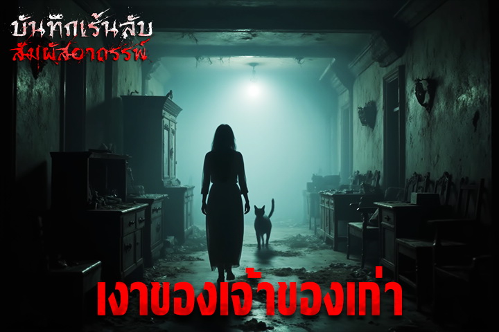 เงาของเจ้าของเก่า