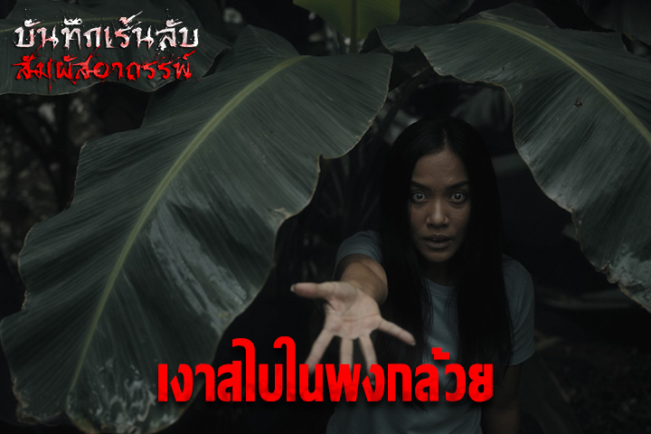 เงาสไบในพงกล้วย