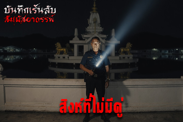 สิงห์ที่ไม่มีคู่