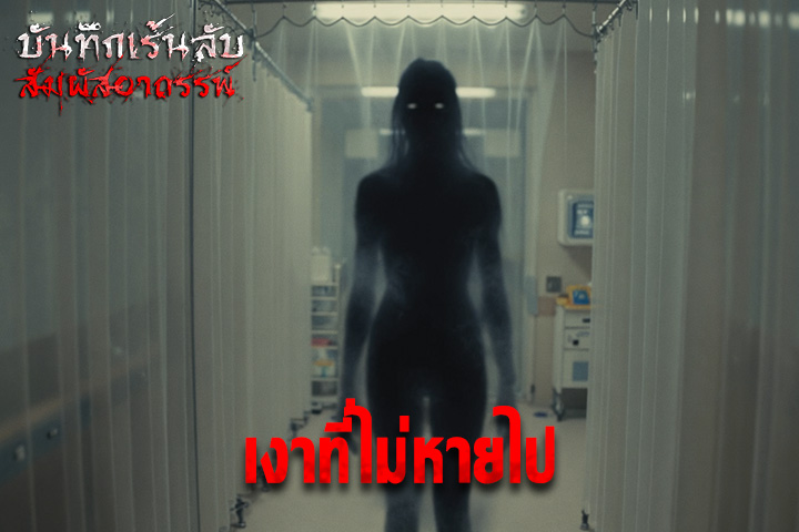 เงาที่ไม่หายไป