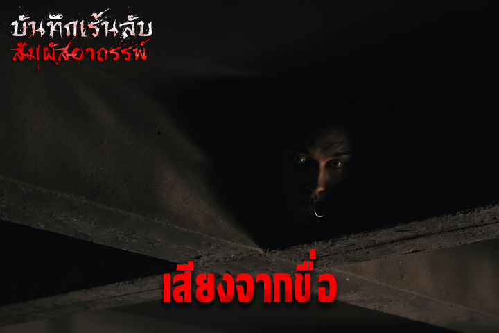 เสียงจากขื่อ