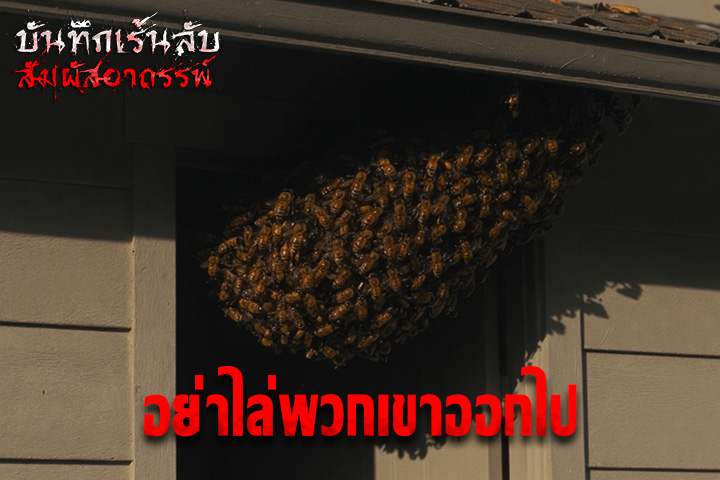 อย่าไล่พวกเขาออกไป