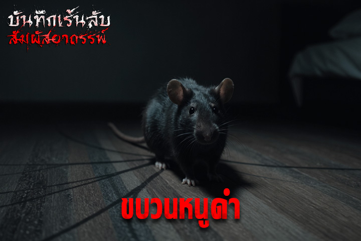 ขบวนหนูดำ