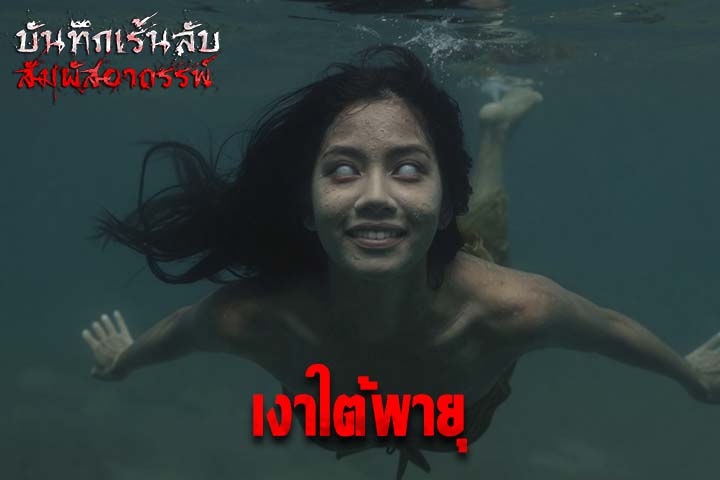 เงาใต้พายุ