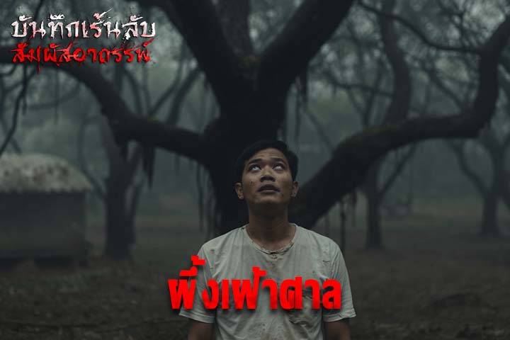 ผึ้งเฝ้าศาล