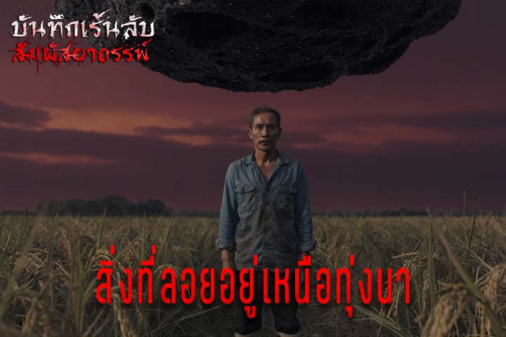สิ่งที่ลอยอยู่เหนือทุ่งนา
