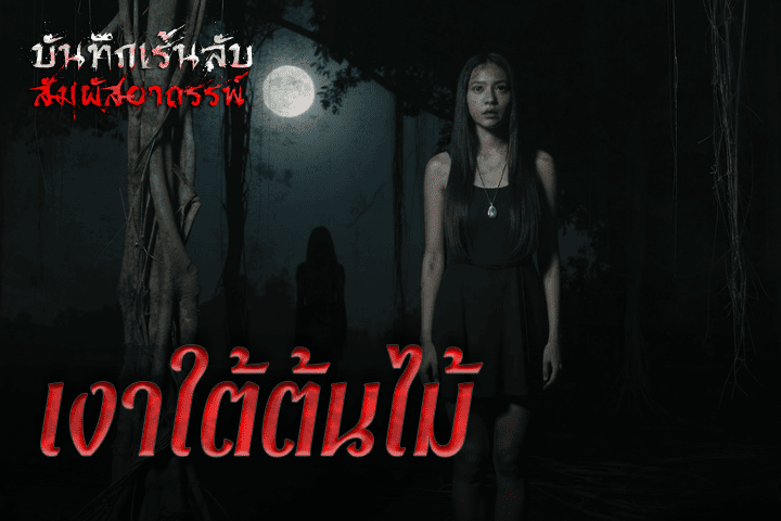 เงาใต้ต้นไม้